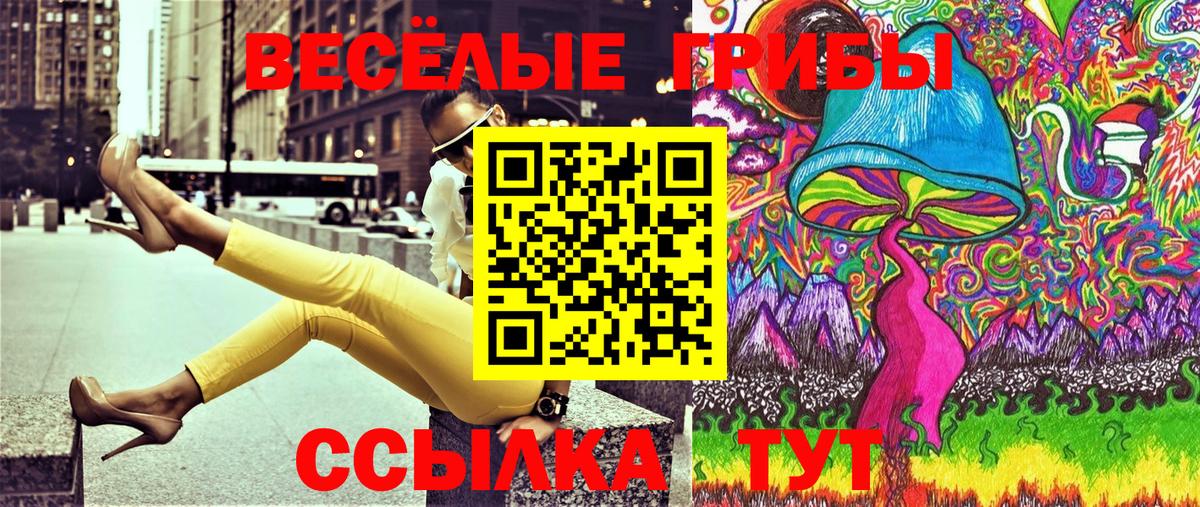 Галлюциногенные грибы Cubensis Соль-Илецк