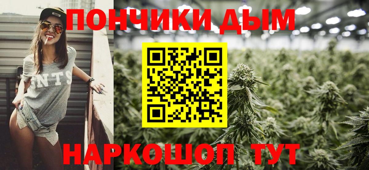 Канабис план Соль-Илецк